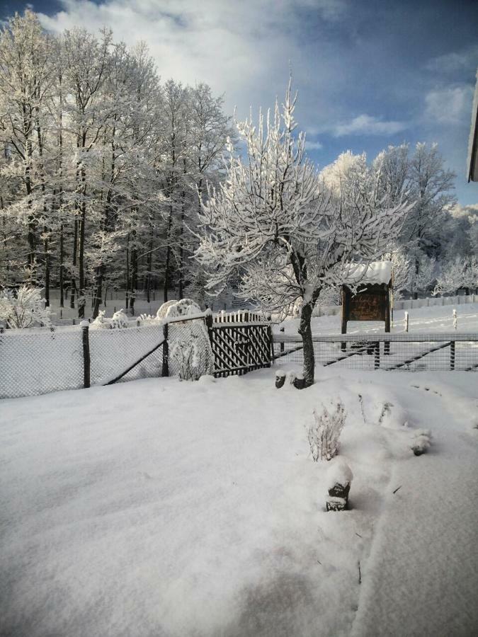 La Locanda Degli Elfi Viggianello Bagian luar foto
