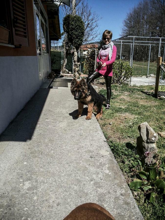 La Locanda Degli Elfi Viggianello Bagian luar foto
