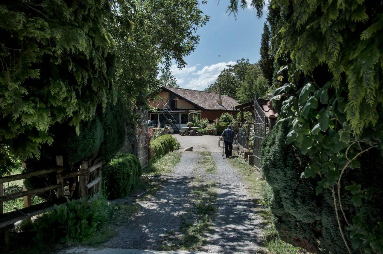 La Locanda Degli Elfi Viggianello Bagian luar foto