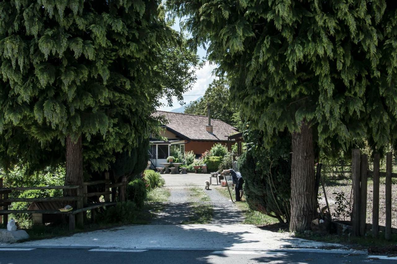 La Locanda Degli Elfi Viggianello Bagian luar foto